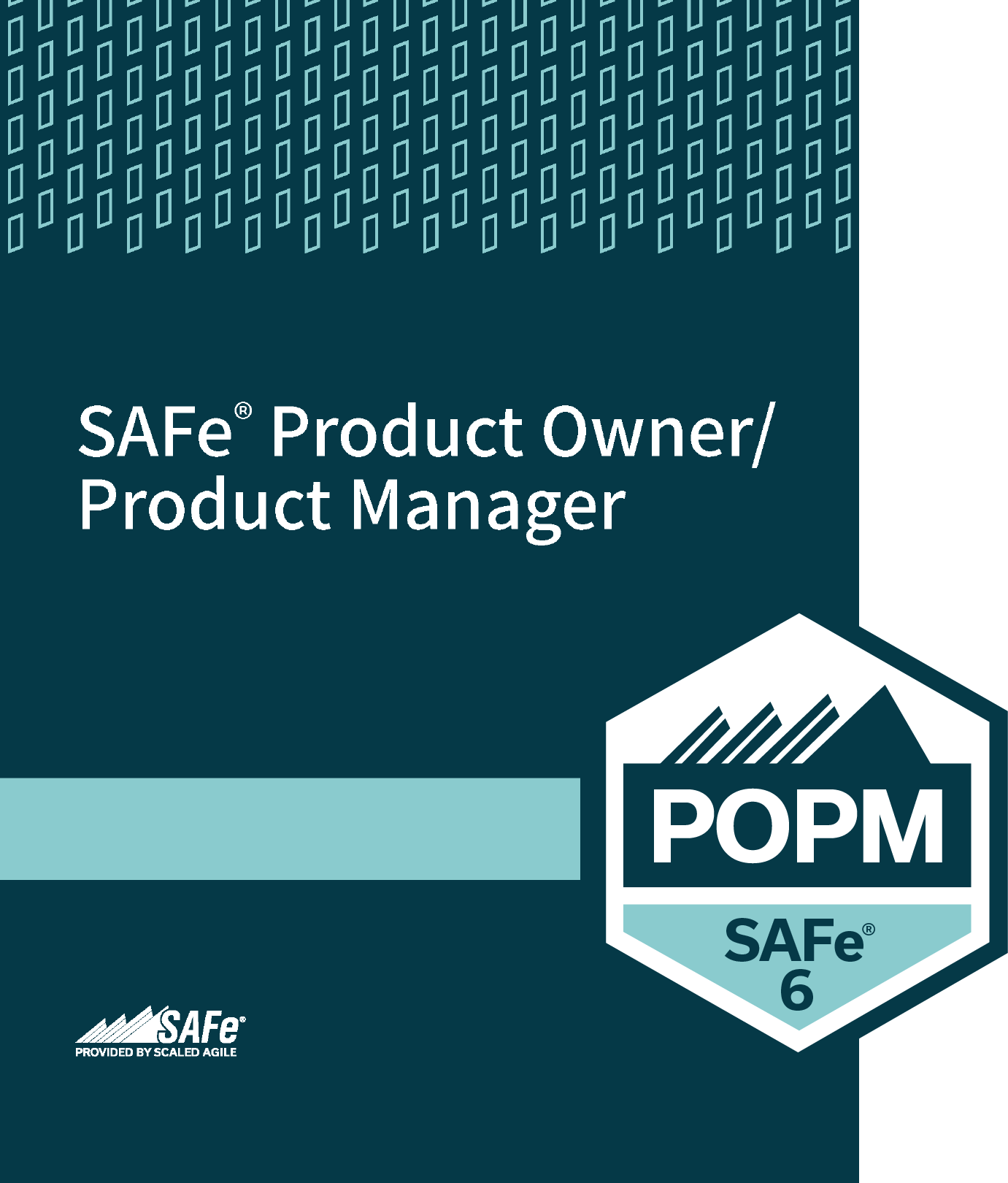 SAFe 6.0 Product Owner/Product Manager