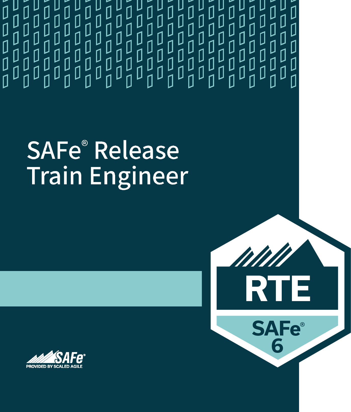 SAFe 6.0 Release Train Engineer