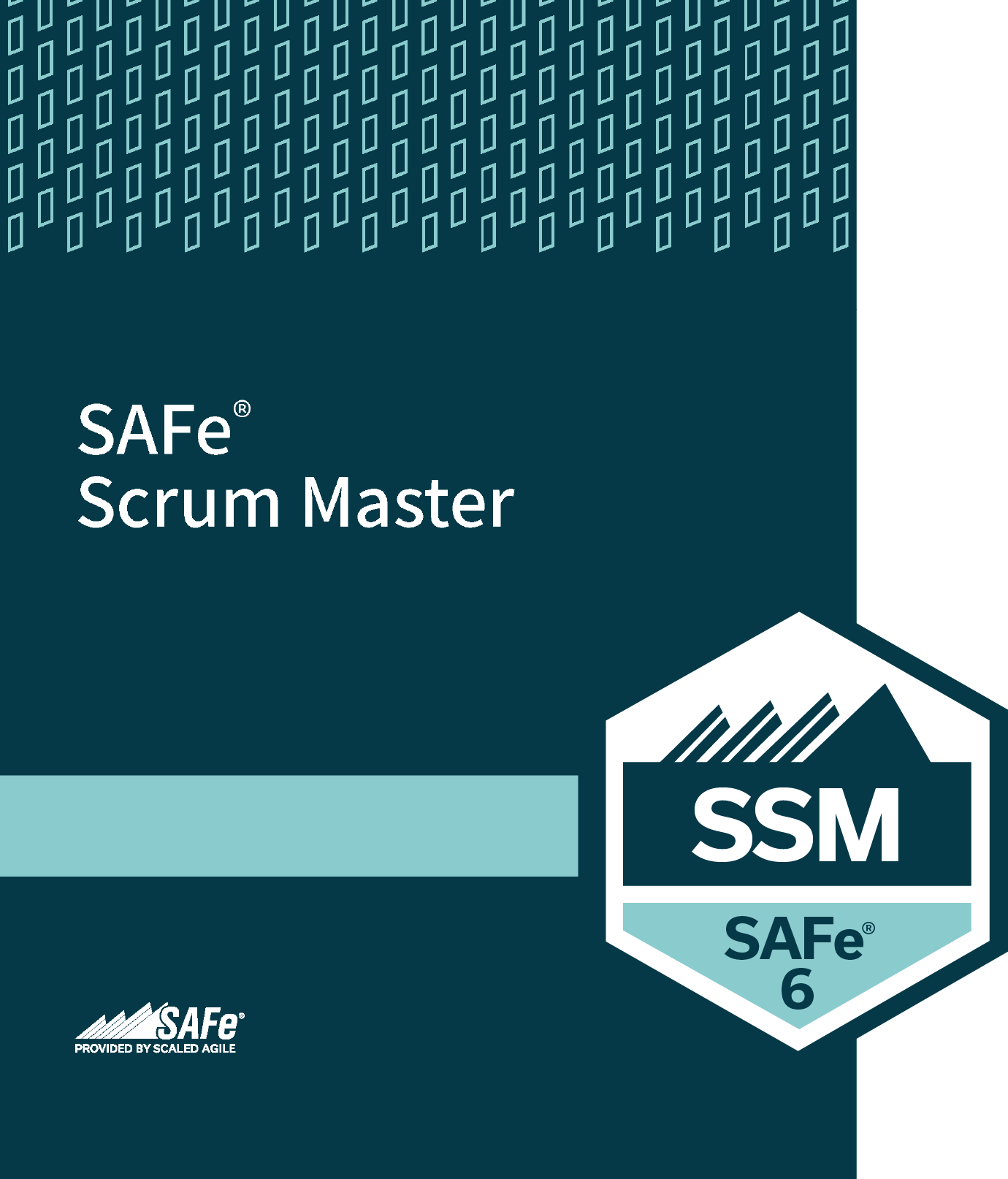 SAFe 6.0 Scrum Master