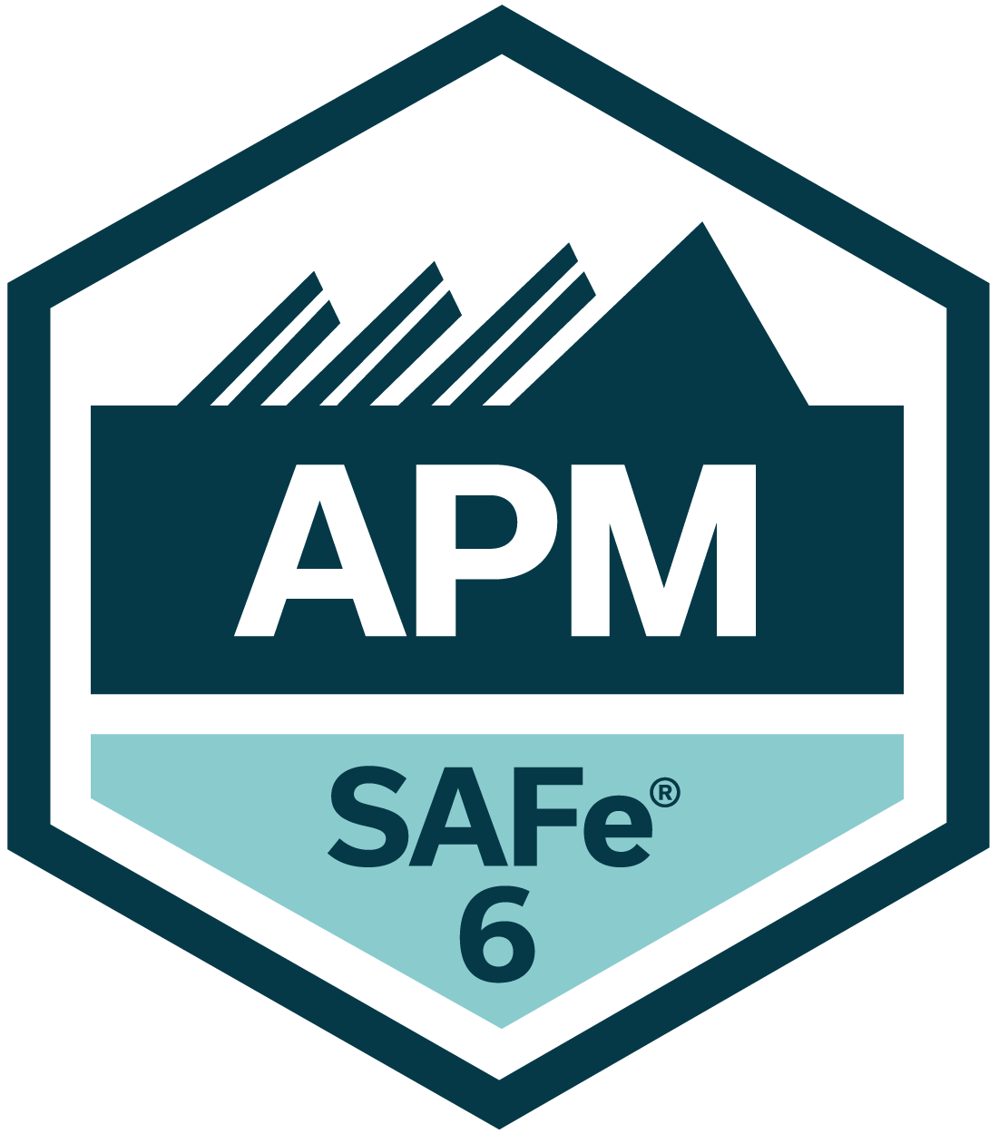 SAFe 6.0 Agile Product Management Certification