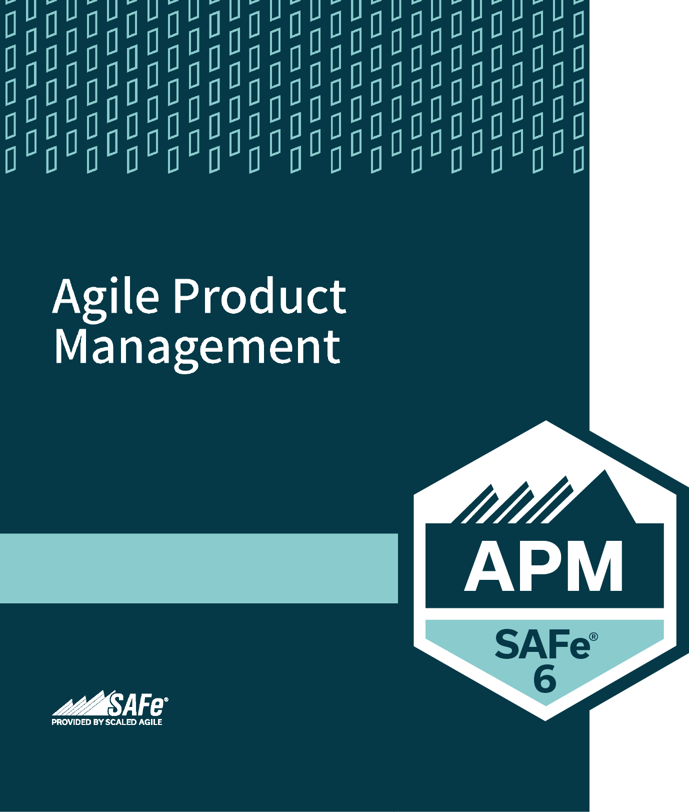 SAFe 6.0 Agile Product Management